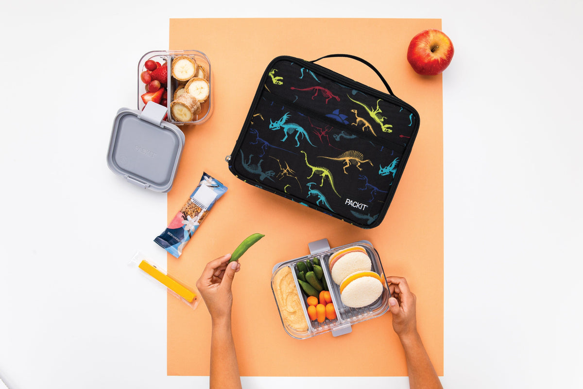 freezable-lunch-box-limited-edition-w8 2022_Lifestyle_Lunch-Box_Dino_Fossils_Hires.jpg